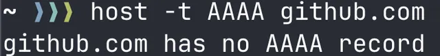 terminal screenshot showing DNS request for IPv6 addresses from github.com shows empty records