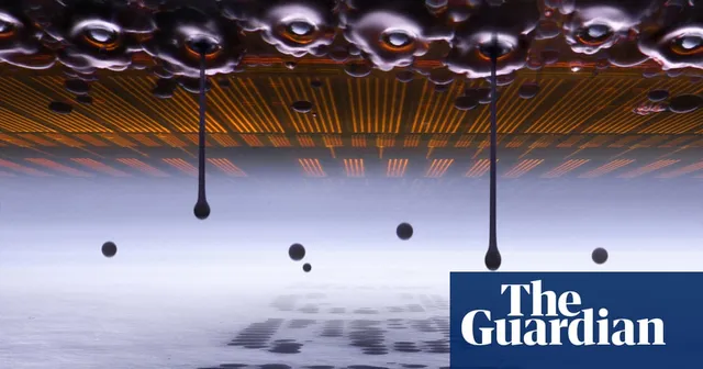 Nikon’s Small World photomicrography competition winners – in pictures
